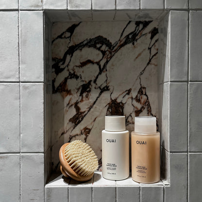 Dry body brush